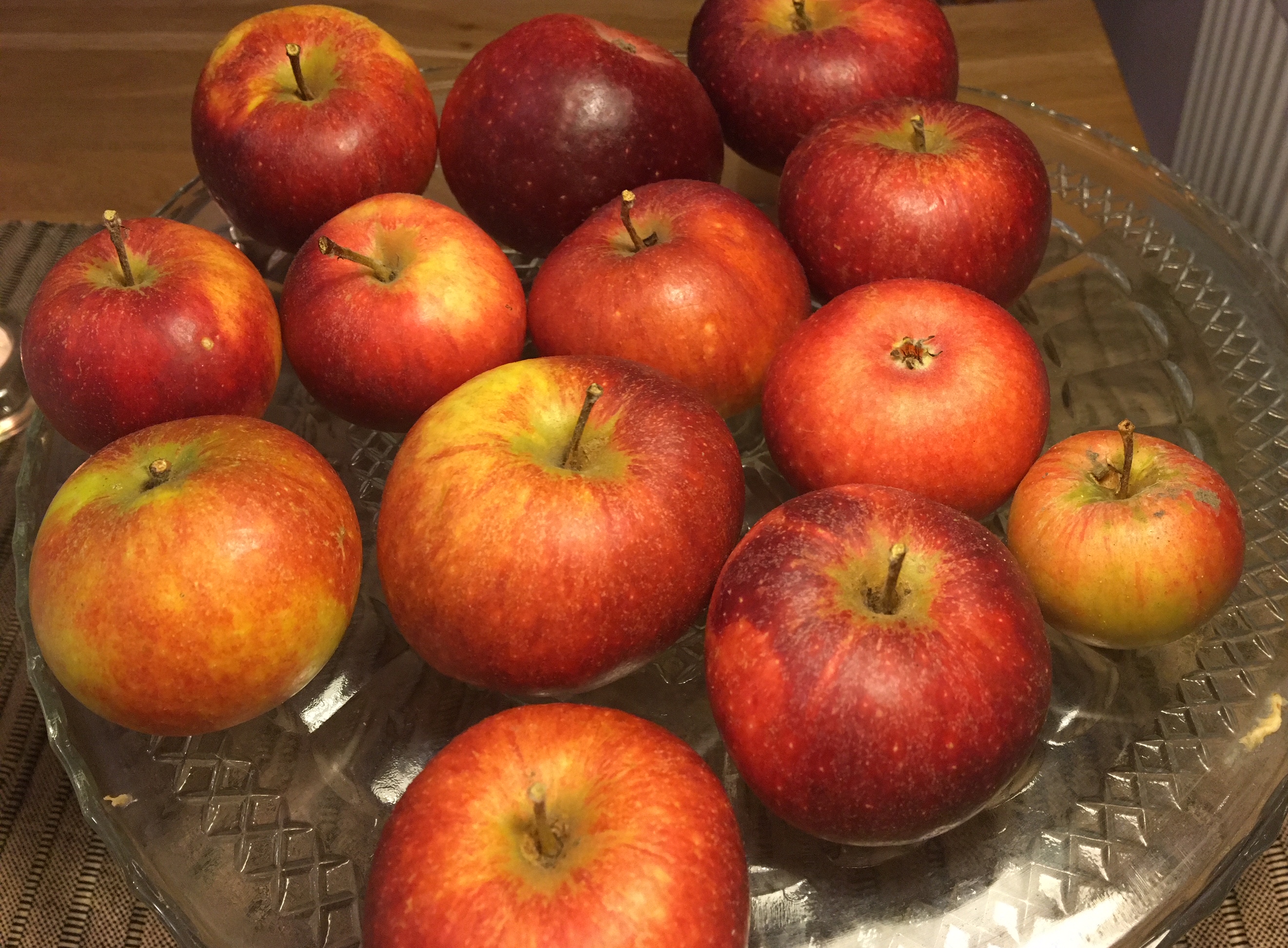 zufälliges Rezeptbild