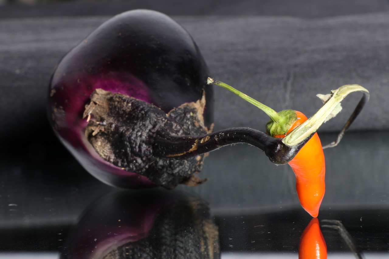 zufälliges Rezeptbild