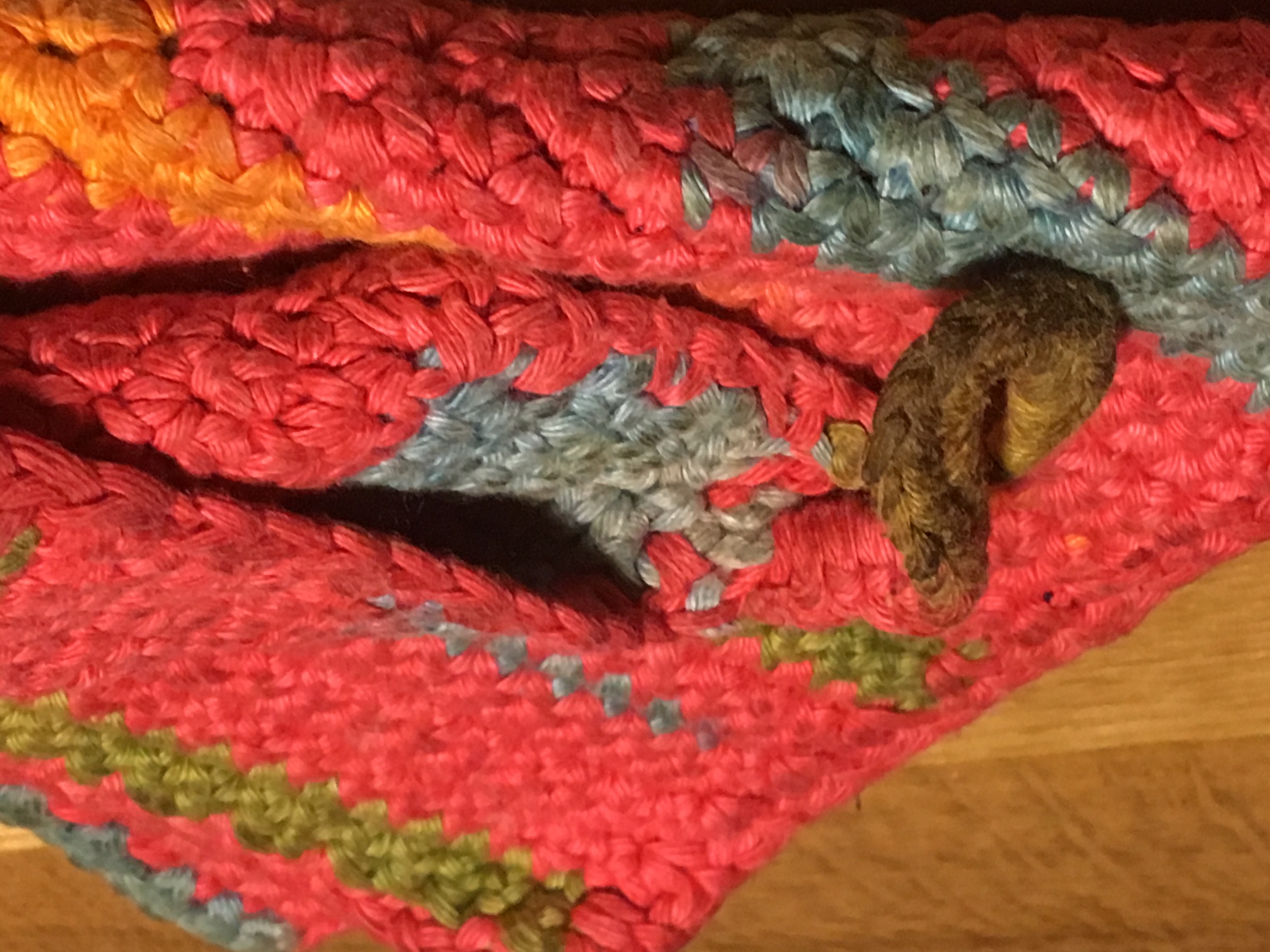 zufälliges Rezeptbild