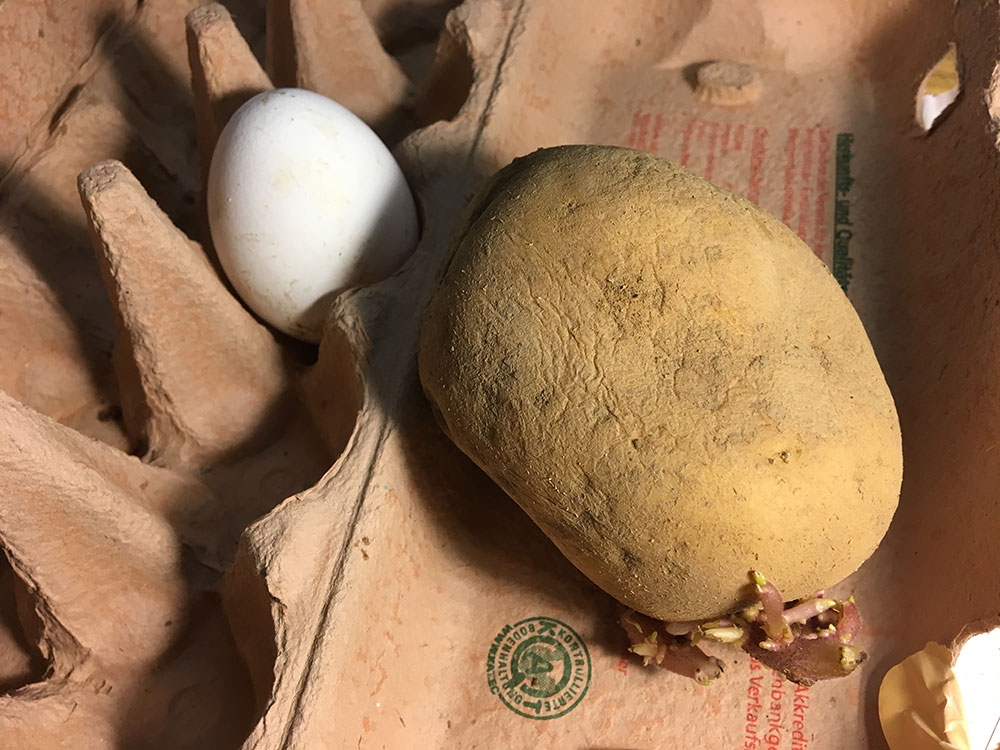 kartoffelnei kartoffelnei