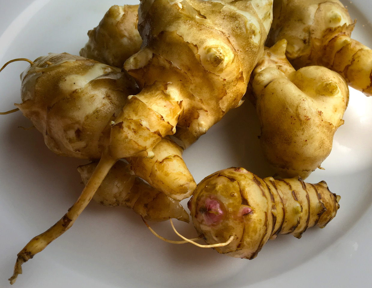 zufälliges Rezeptbild