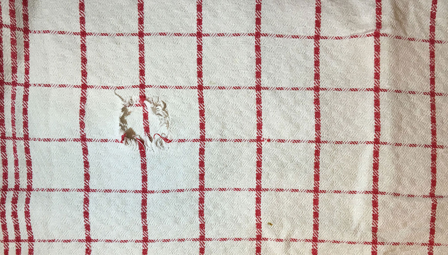 zufälliges Rezeptbild