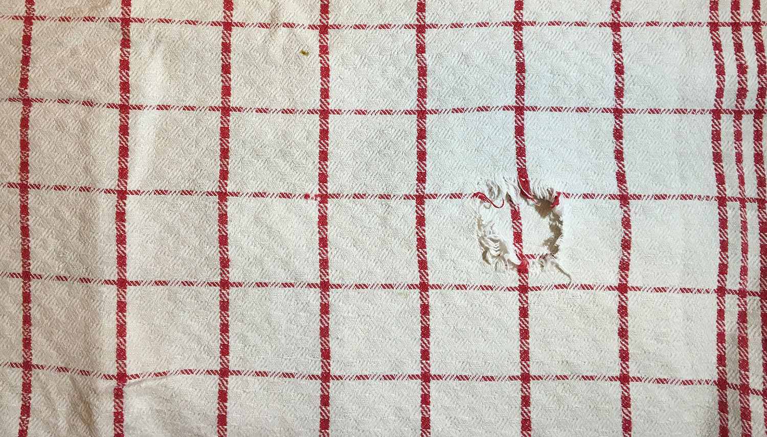 zufälliges Rezeptbild