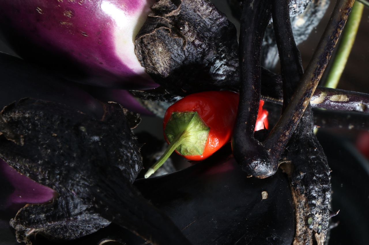 zufälliges Rezeptbild